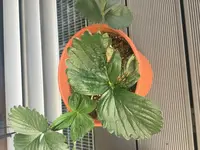 IMG_3370.webp IMG_3370.webp