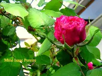 IMG_7846.JPG