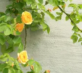 IMG_1902.webp