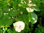 IMG_7869.JPG