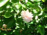 IMG_7870.JPG