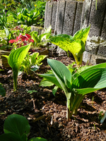 P1130744.webp