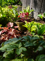 P1130746.webp