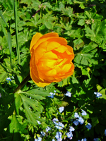 P1130739.webp