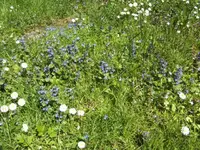 BILD6431.webp