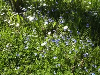 BILD6432.webp
