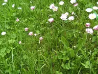 BILD6447.webp