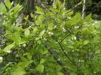 BILD6444.webp