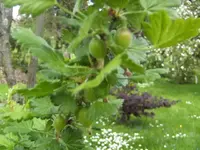 BILD6442.webp