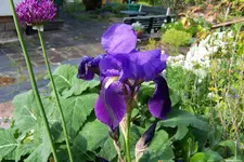 100_3897.webp