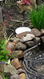 Bild 007.webp