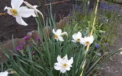 Bild 014.webp