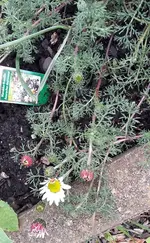 Bild 016.webp