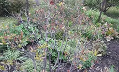 Bild 018.webp