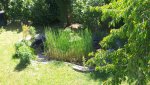 20170516_142615.jpg