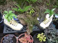 008_1067x800.webp