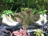 009_1067x800.webp