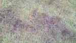 20170516_204820.jpg