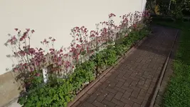 20170516_181840.webp