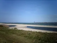 010.jpg