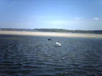 027.webp