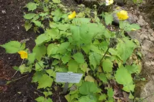 DSCF8783.webp