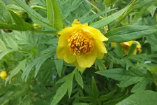 DSCF8768.webp