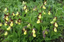 DSCF8795.webp