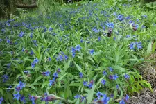 DSCF8763.webp
