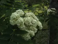 BILD6440.webp