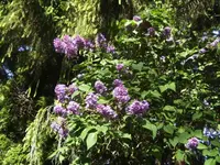 BILD6479.webp