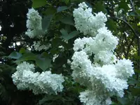 BILD6483.webp
