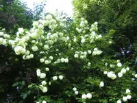 BILD6472.webp