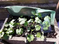 20170517_163451.jpg