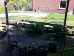 20170517_163427.jpg