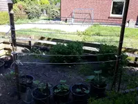 20170517_163427.webp