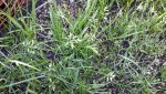 20170517_184409.jpg 20170517_184409.jpg