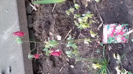 20170517_203154.jpg