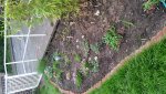 20170517_203142.jpg
