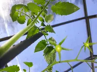 20170517_165959.jpg