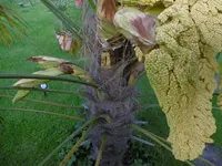 P1000831.webp
