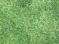 IMG_0944.webp
