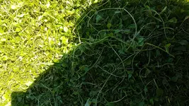 IMG-20170510-WA0011.webp