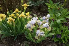 DSC08090.JPG