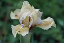 Gardone.JPG