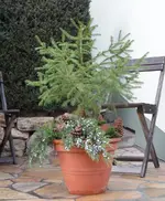 SAM_5947.webp