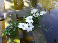 20170517_150736.jpg