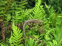 IMG_3675.jpg