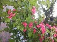 20170516_092717.jpg