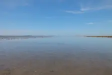 DSCF7616.webp